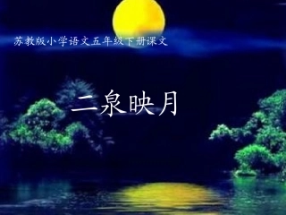 苏教版第十册语文《二泉映月》课件