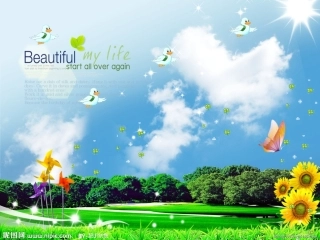 探究酵母菌细胞呼吸的方式