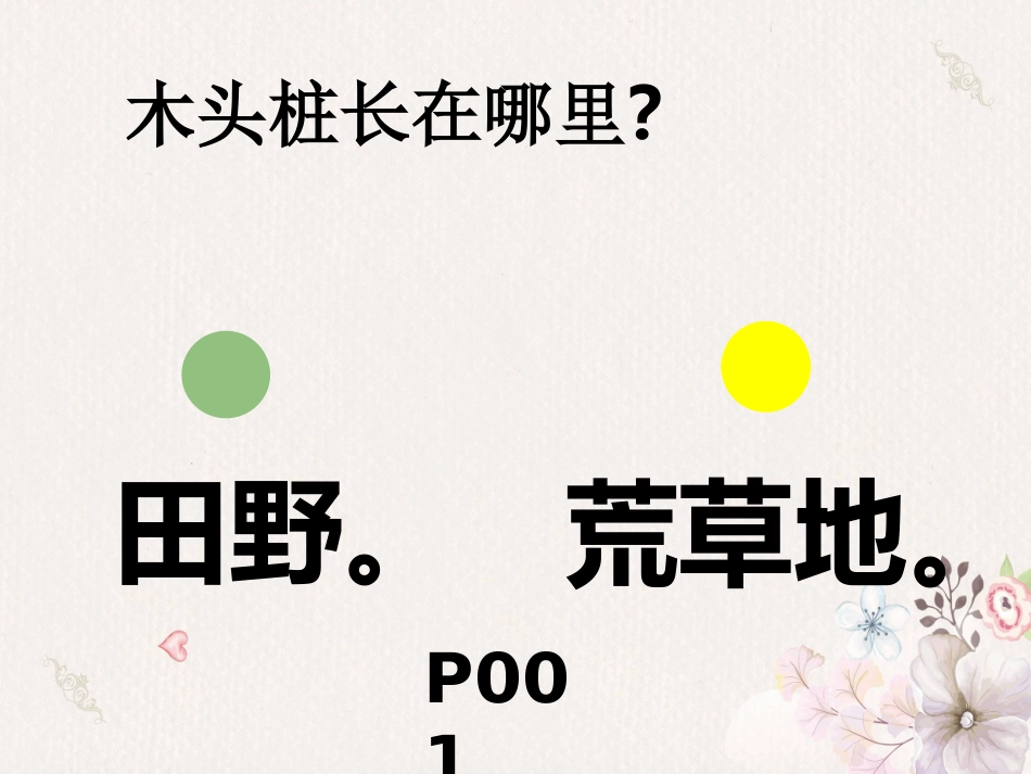 《“歪脑袋”木头桩》阅读分享课_第2页