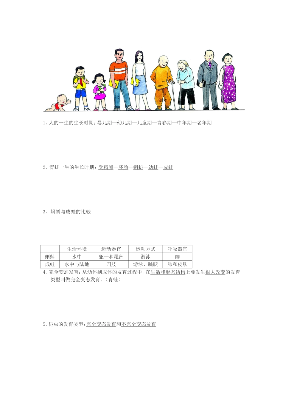 [宝典]植物的生命周期教材_第2页