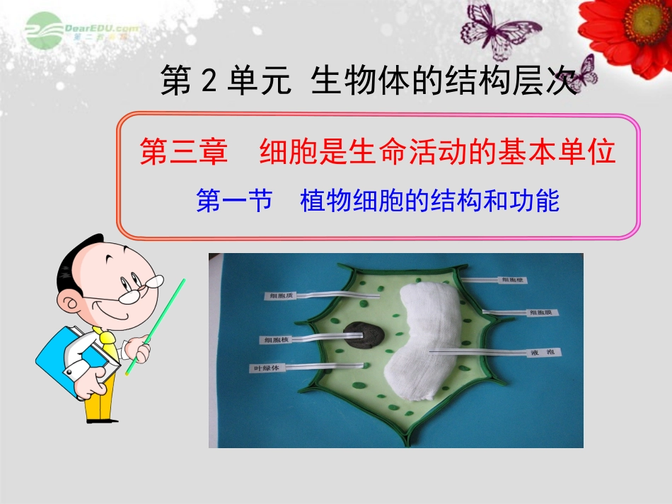 七年级生物上册 第三章 第一节 植物细胞的结构和功能课件 苏教版_第1页