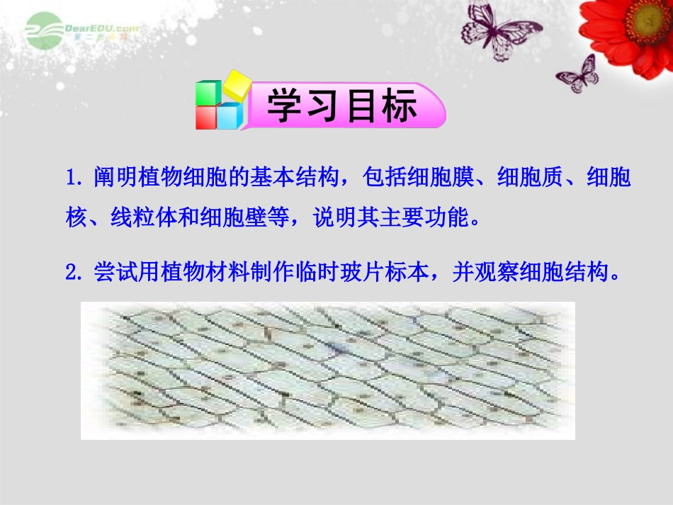七年级生物上册 第三章 第一节 植物细胞的结构和功能课件 苏教版_第3页