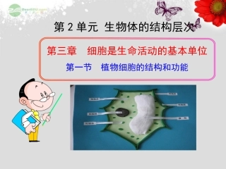 七年级生物上册 第三章 第一节 植物细胞的结构和功能课件 苏教版