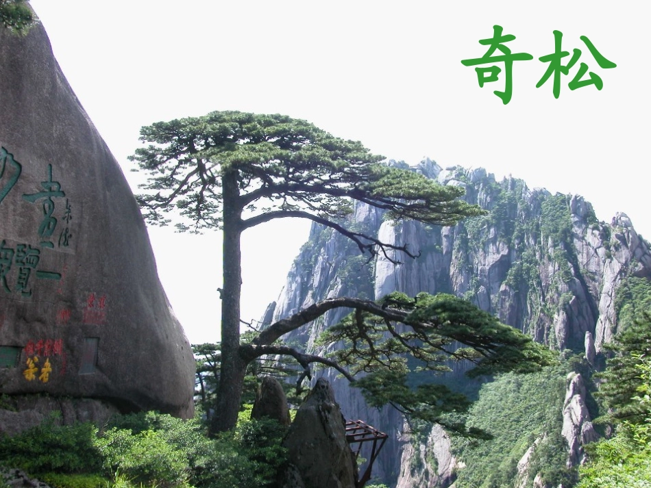 黄山奇石教学课件_第1页