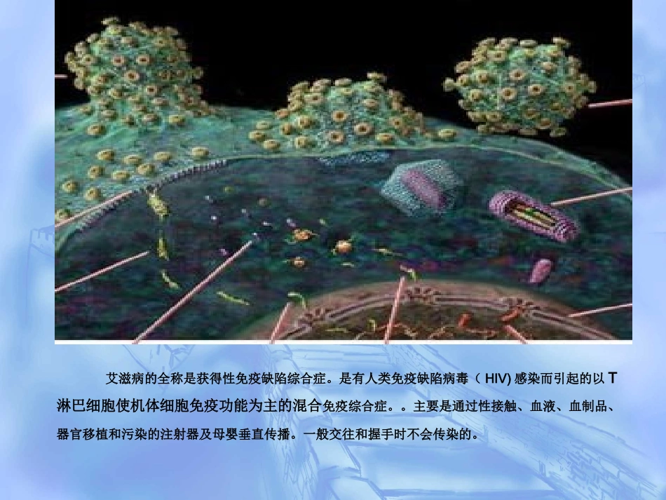 五年级语文上册第四组3艾滋病小斗士第一课时课件_第1页