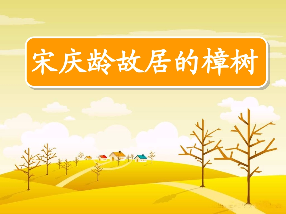 宋庆龄故居的樟树_第1页