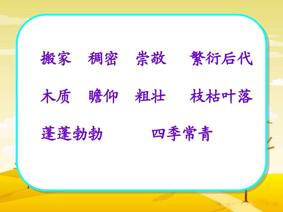 宋庆龄故居的樟树_第3页
