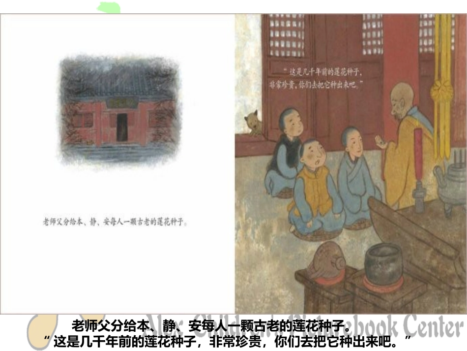 安的种子绘本精读会_第3页