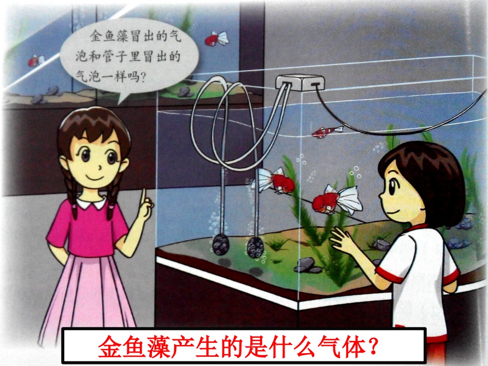 7、植物能够利用阳光_第1页