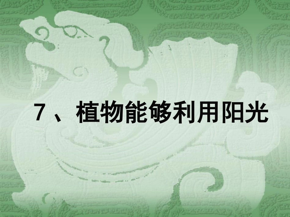 7、植物能够利用阳光_第2页