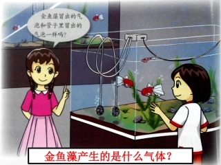 7、植物能够利用阳光