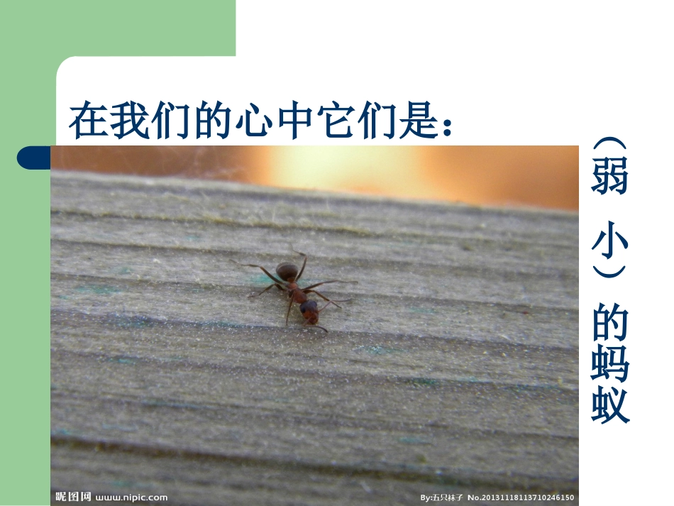 生命的壮歌课件_第2页