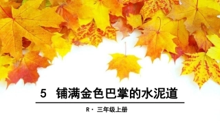 5 铺满金色巴掌的水泥道