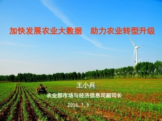 加快发展农业大数据, 助力农业转型升级