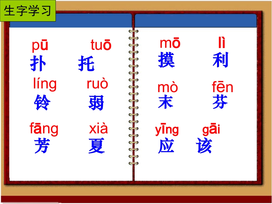 7、《我不是最弱小的》PPT课件_第3页
