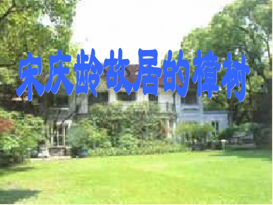 宋庆龄故居的樟树 (5)_第1页