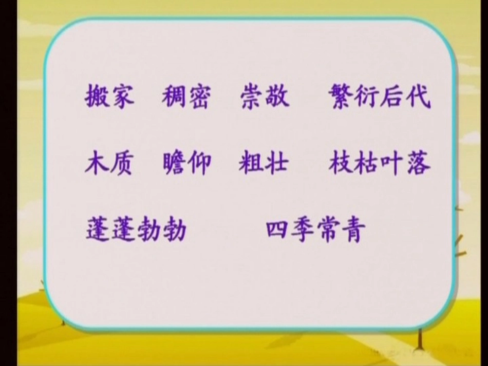 宋庆龄故居的樟树 (5)_第2页