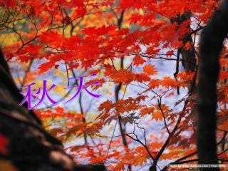 幼儿园秋天的颜色课件PPT