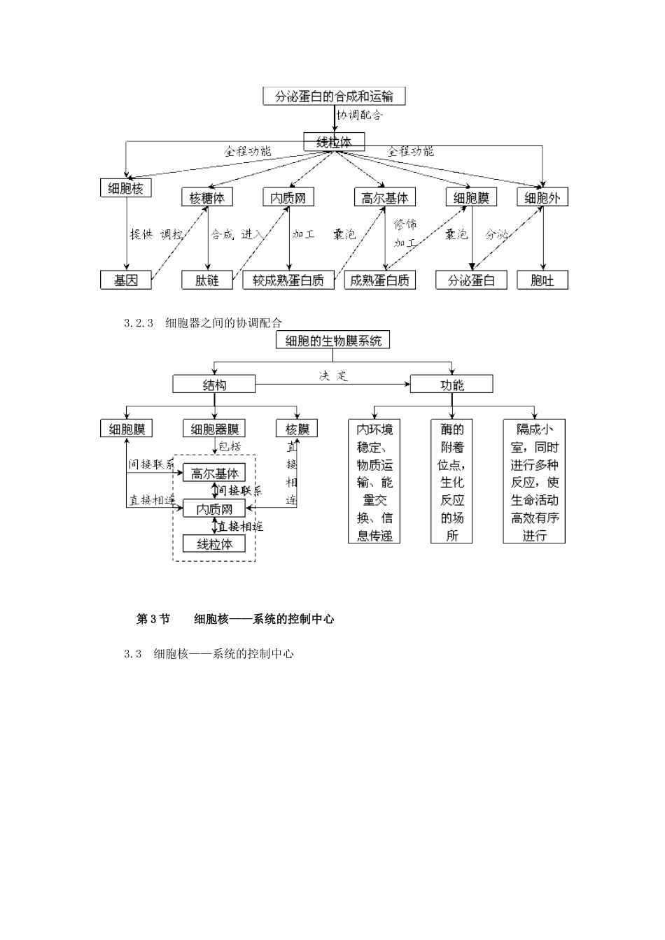 第3章细胞的基本结构概念图汇编_第3页