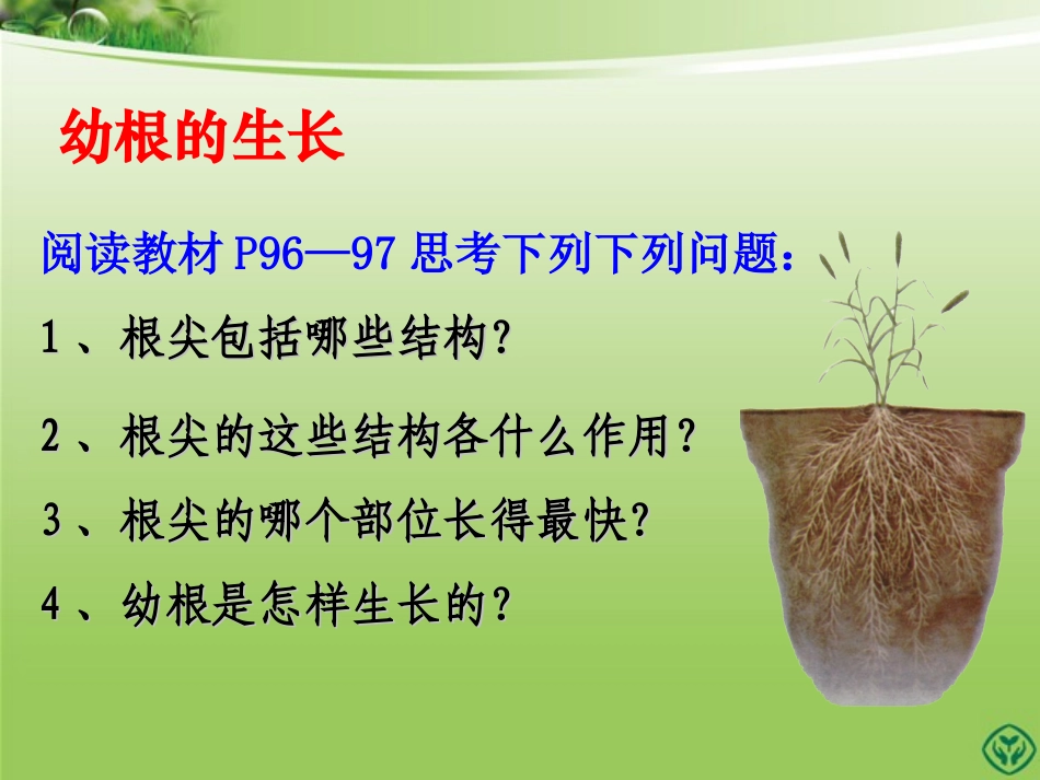 《植株的生长》ppt_第2页