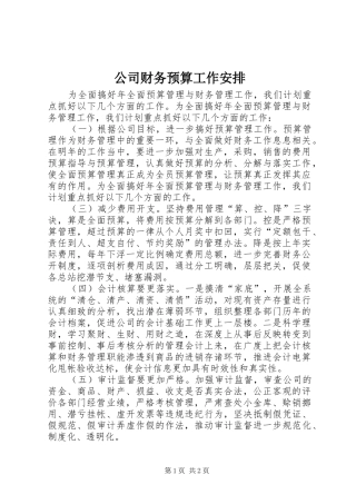 公司财务预算工作安排