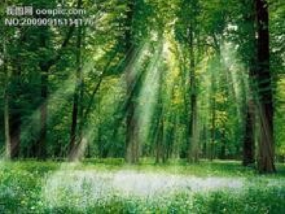 《绿山墙的安妮》读书交流会_第2页