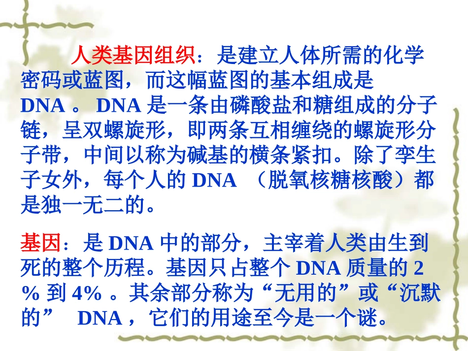 语文版七年级上册语文《基因畅想》课件（共21张PPT）_第3页