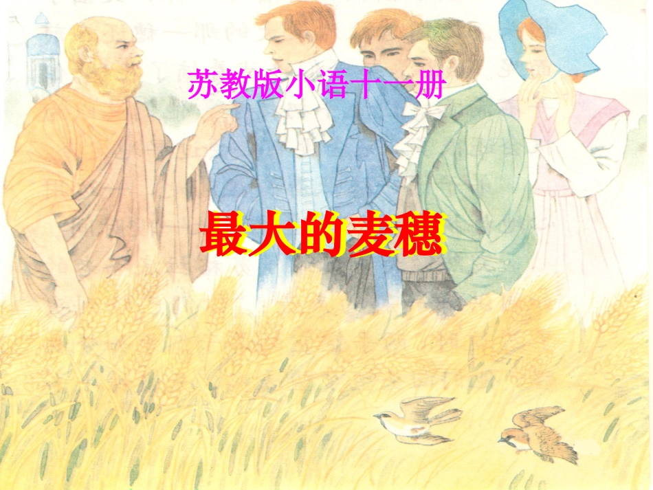 最大的麦穗课件_第1页