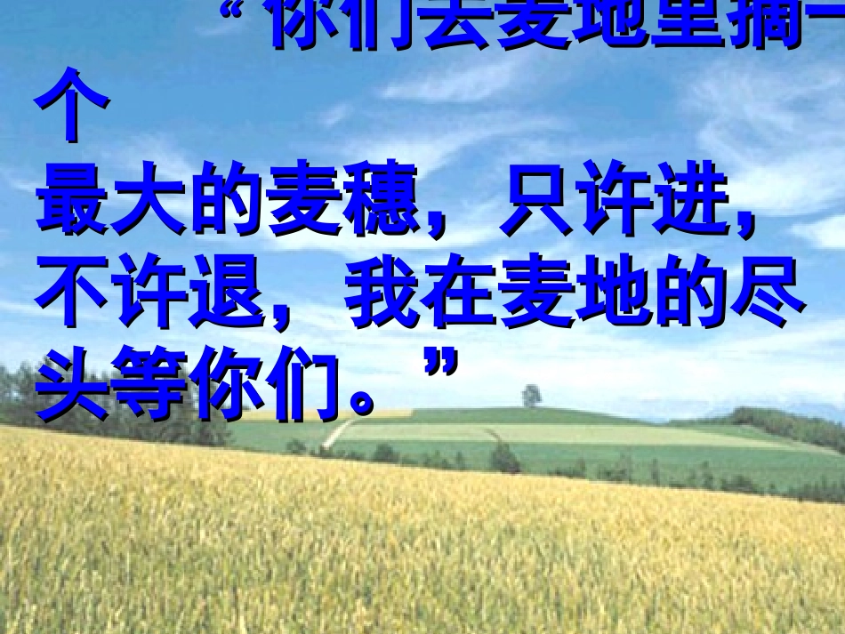 最大的麦穗课件_第2页