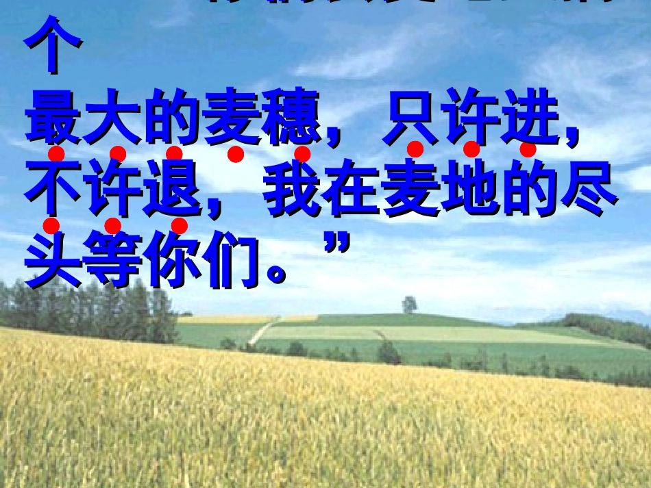 最大的麦穗课件_第3页