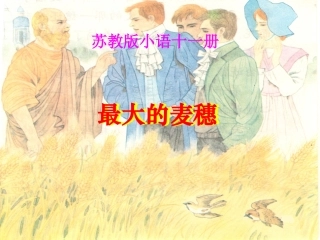 最大的麦穗课件