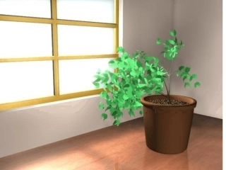 《植物生长素的发现》新课件 (共55张PPT)