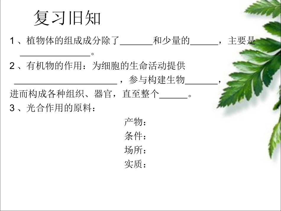 七年级上册生物绿色植物的呼吸作用_第2页