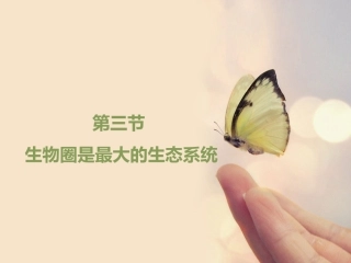 《生物圈是最大的生态系统》PPT)