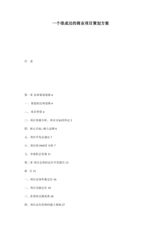一个很成功的商业项目策划方案