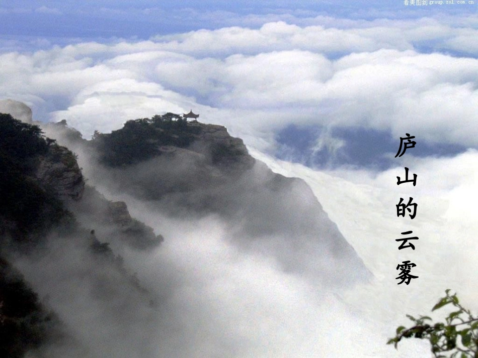 《黄山奇松》第一课时_第2页