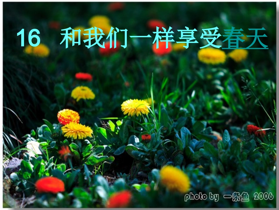 （精华资料和我们一样享受春天_第1页