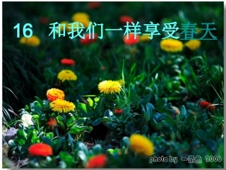 （精华资料和我们一样享受春天