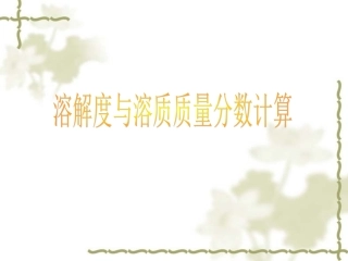 《溶解度与溶质质量分数计算》专题复习课件