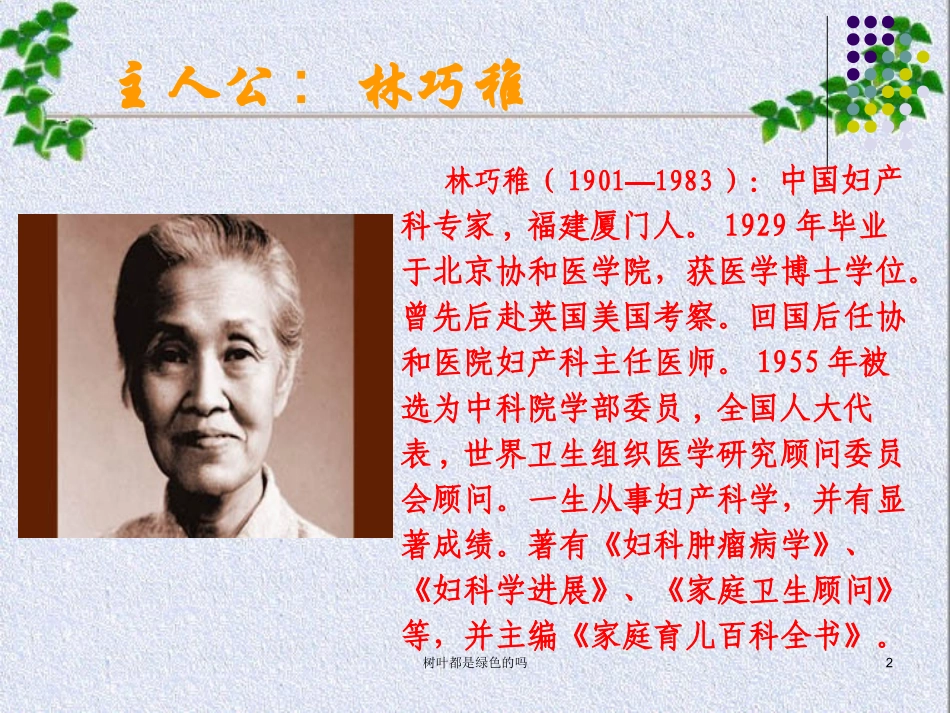 10树叶都是绿色的吗ppt课件_第2页