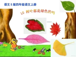 10树叶都是绿色的吗ppt课件