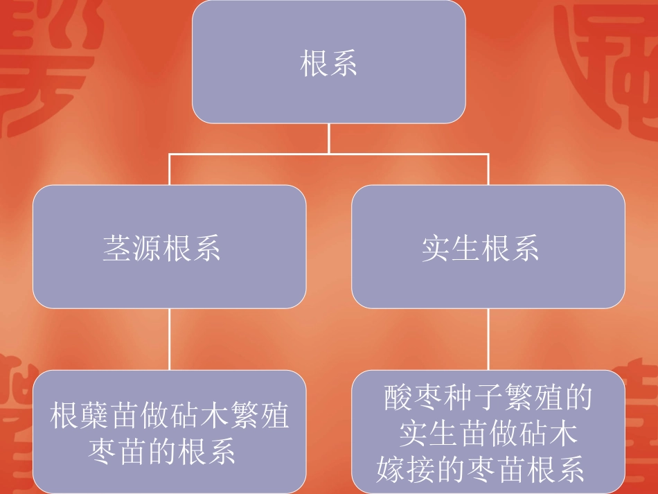 4、枣树的生物学特性_第2页