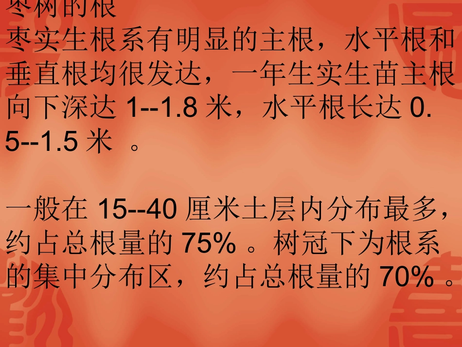 4、枣树的生物学特性_第3页