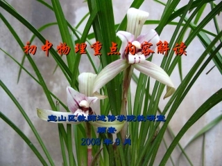 初中物理重点内容解读