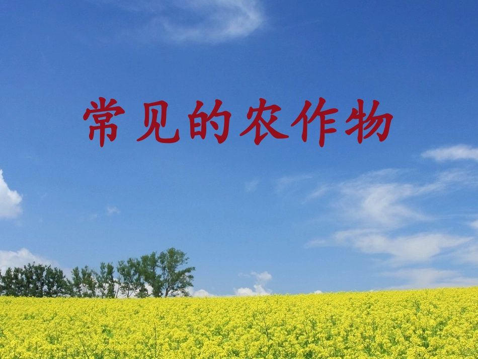 常见的农作物_第1页