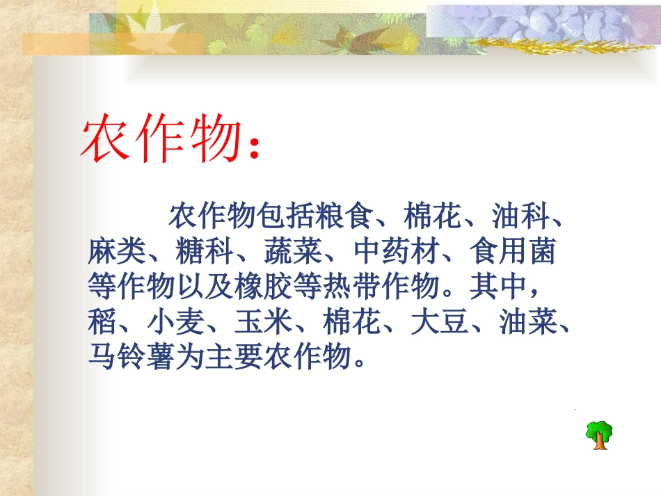 常见的农作物_第2页