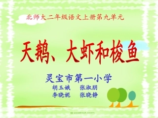 天鹅、大虾和梭子鱼