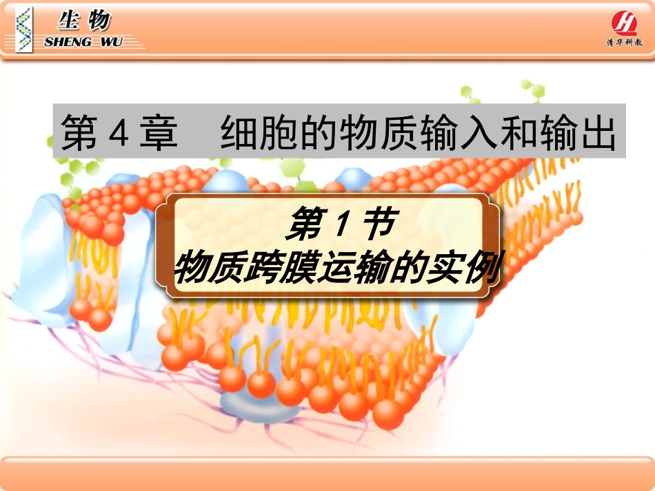 《物质跨膜运输的实例》PPT课件_第1页