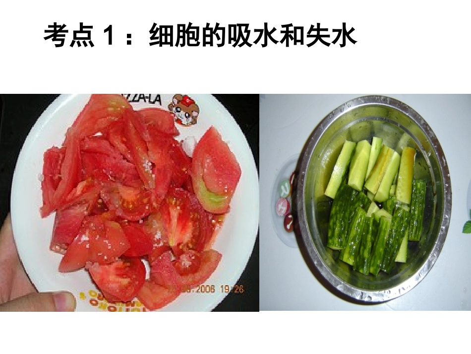 《物质跨膜运输的实例》PPT课件_第2页