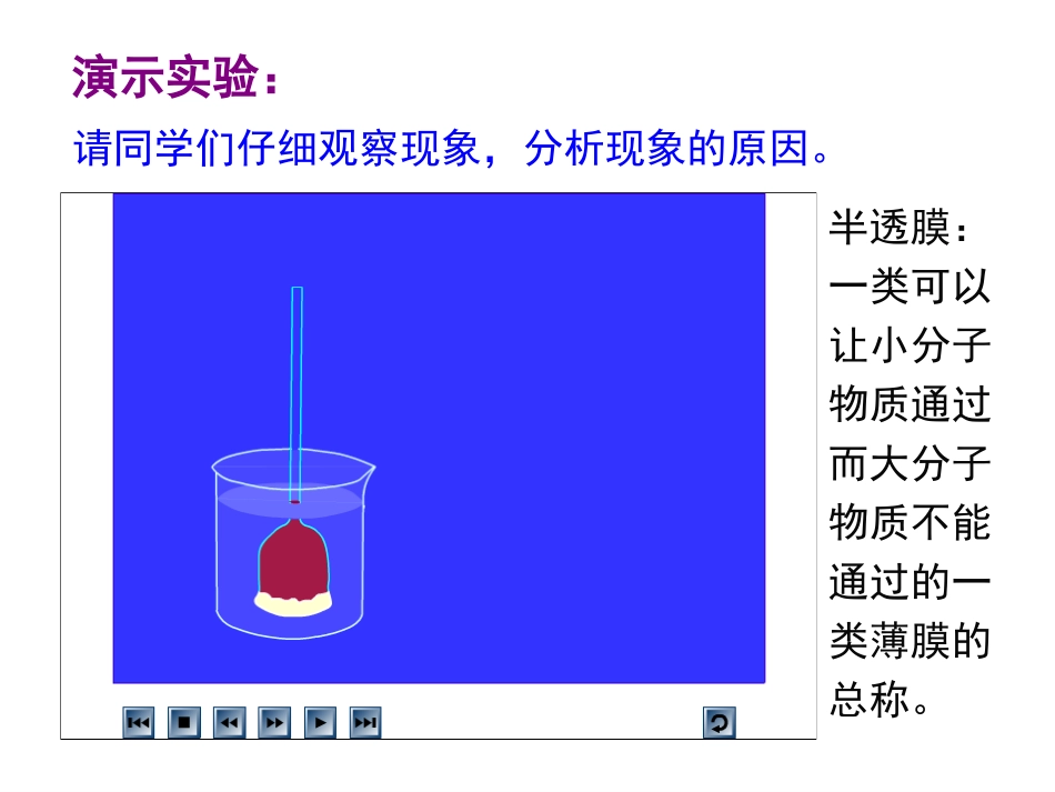 《物质跨膜运输的实例》PPT课件_第3页